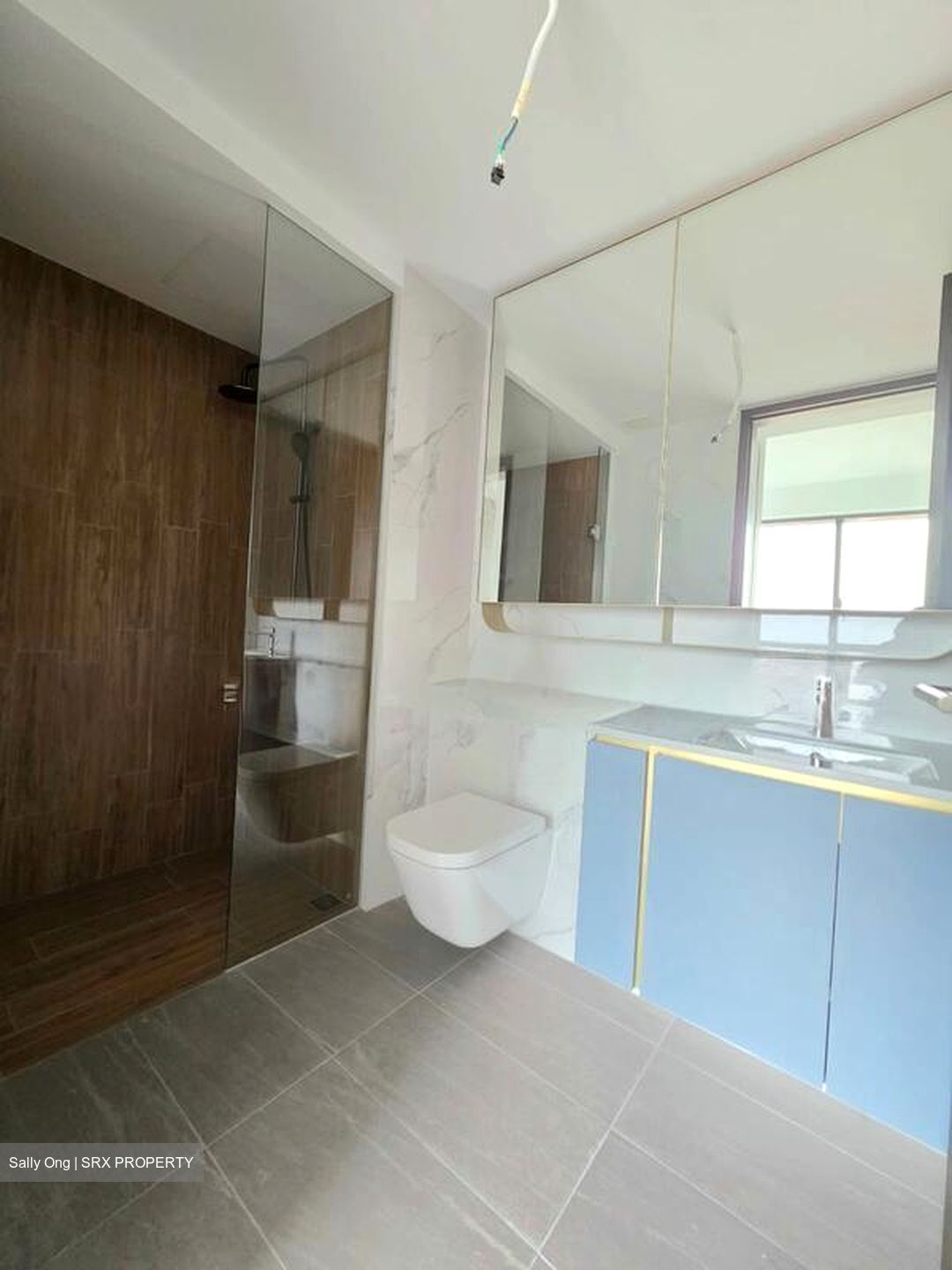 Amo Residence (D20), Apartment #509234161
